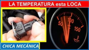 Lee más sobre el artículo Cuando Caduca la Reserva de Dominio de un Coche