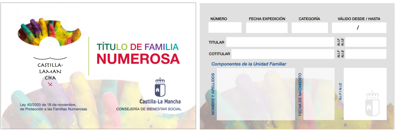 Lee más sobre el artículo Cuando se cobra la ayuda de Familia Numerosa en Castilla-La Mancha