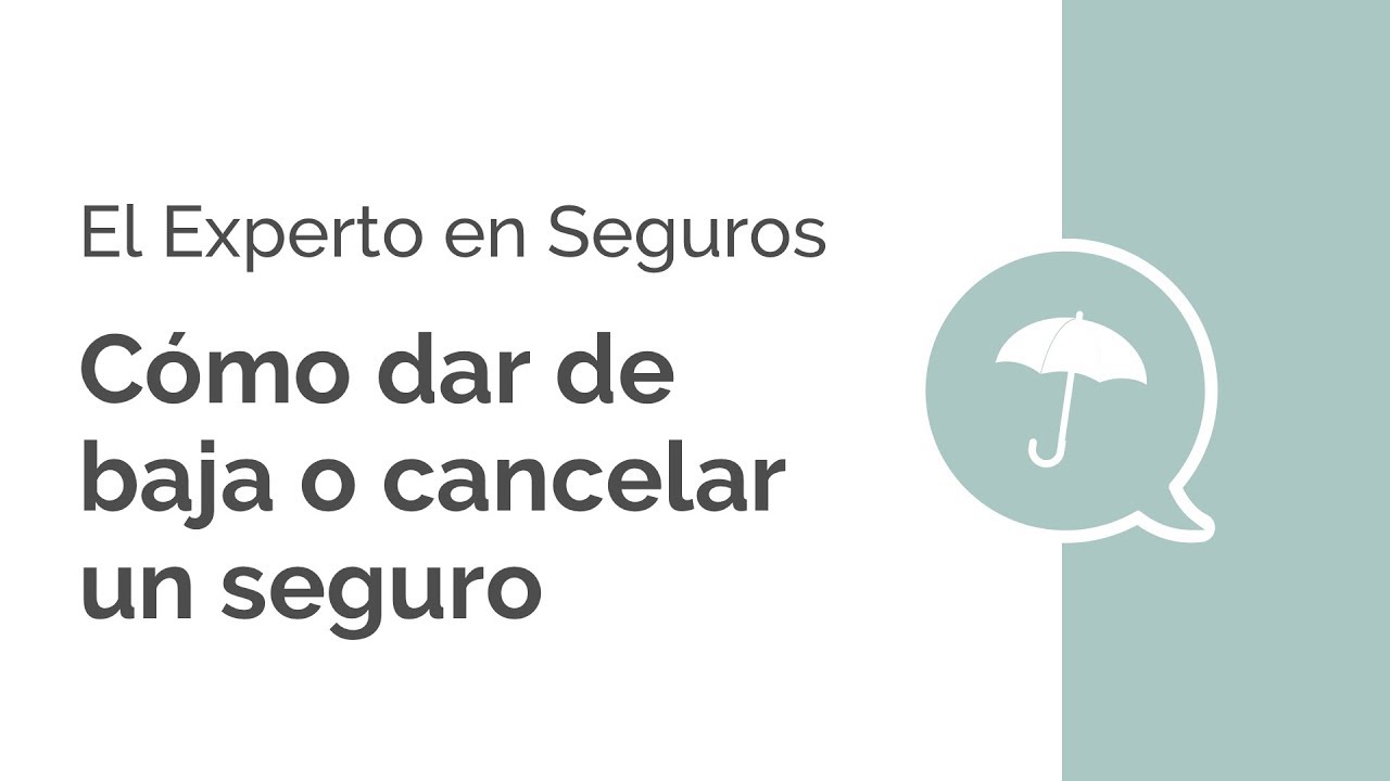 Lee más sobre el artículo Dar de Baja un Seguro Recién Contratado