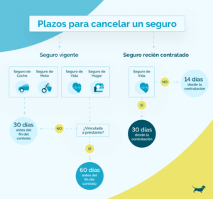 Lee más sobre el artículo Plazo para Dar de Baja un Seguro de Hogar