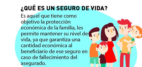 En este momento estás viendo ¿Qué es un Seguro de Vida y para qué sirve?