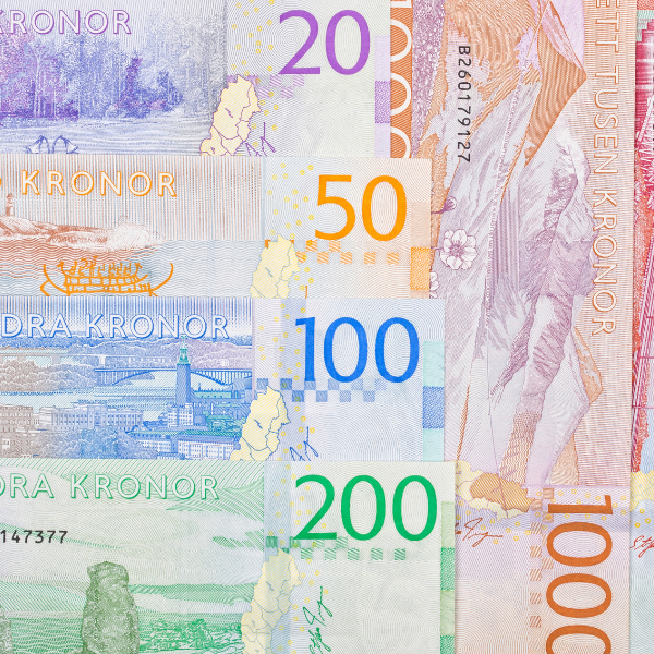 Lee más sobre el artículo Se puede pagar en euros en Suecia